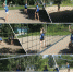 IMG 20200716 WA0000 - Комитет по образованию
