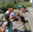 IMG 20200806 203412 131 - Комитет по образованию