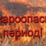   - Алейский район