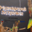   - Алейский район