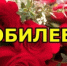   - Алейский район