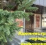 ИЗВЕЩЕНИЕ  о предоставлении земельного участка в аренду. - Администрация города