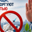 В период времени с 20 апреля по 1 мая 2026 года на территории оперативного обслуживания МО МВД России «Алейский» будет проводиться первый этап общероссийской акции «Сообщи, где торгуют смертью». - Алейский район