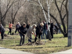 Участие города во Всероссийском субботнике.