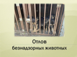Проведен плановый отлов животных без владельцев.
